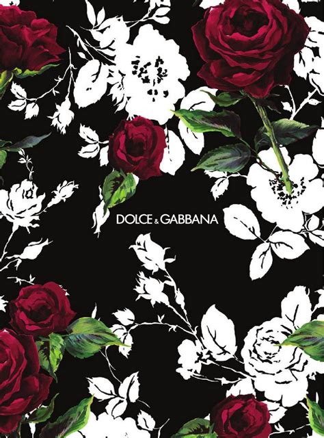 dolce gabbana wallpaper